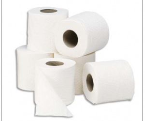 papier-toilette-ecolabel-esat-z