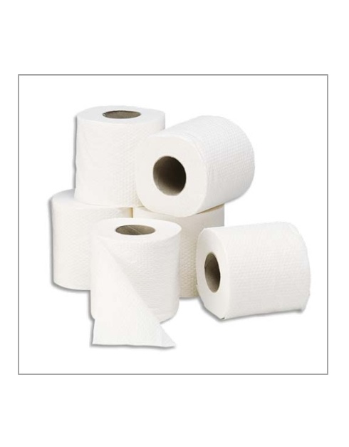papier-toilette-ecolabel-esat-z